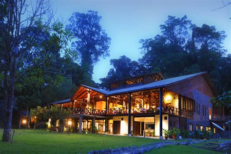 borneo rainforest lodge reviews